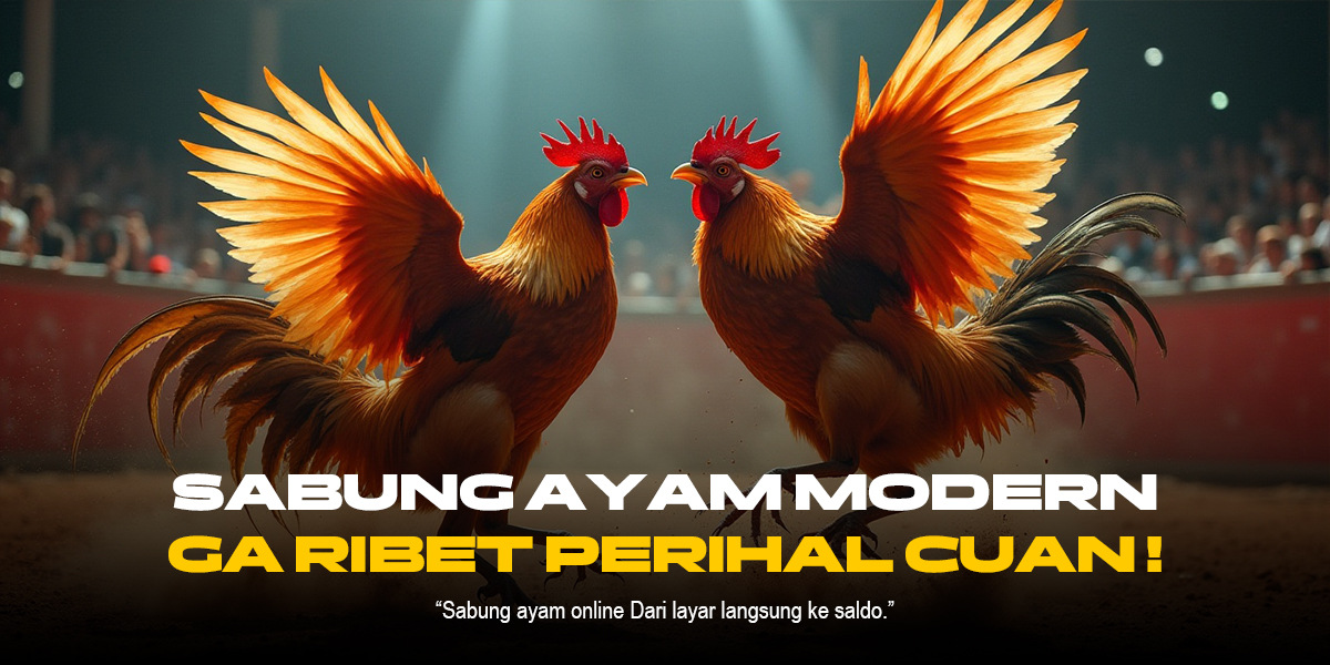 Sabung Ayam SV388: Jenis Ayam Aduan dan Peluang Menang