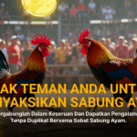 SABUNG AYAM SV388: Jenis Ayam Aduan dan Rahasia Odds Menguntungkan