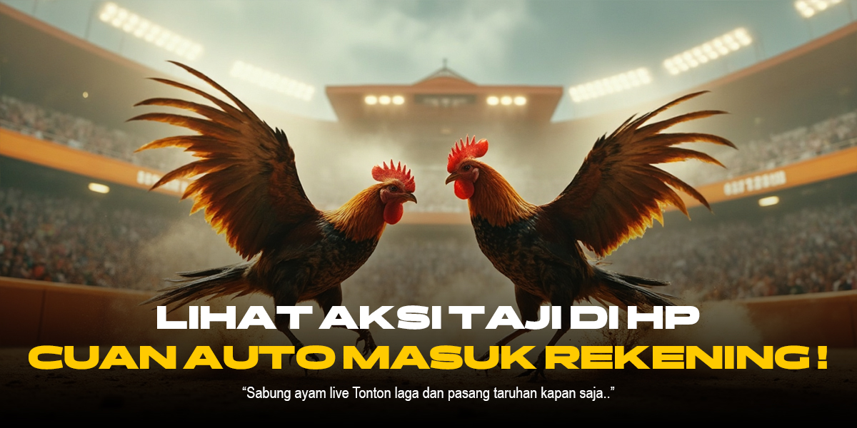 Sabung Ayam SV388: Jenis Ayam, Odds, dan Keunggulan Provider Terpercaya