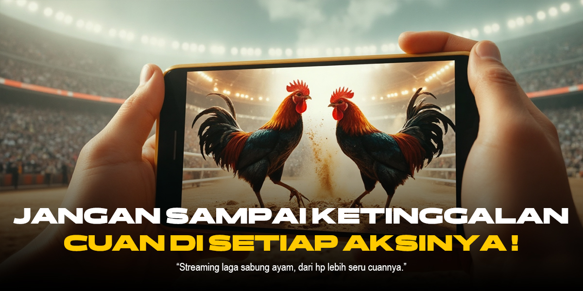 Bongkar Rahasia SV388: Jenis Ayam Aduan dan Odds Terbaik