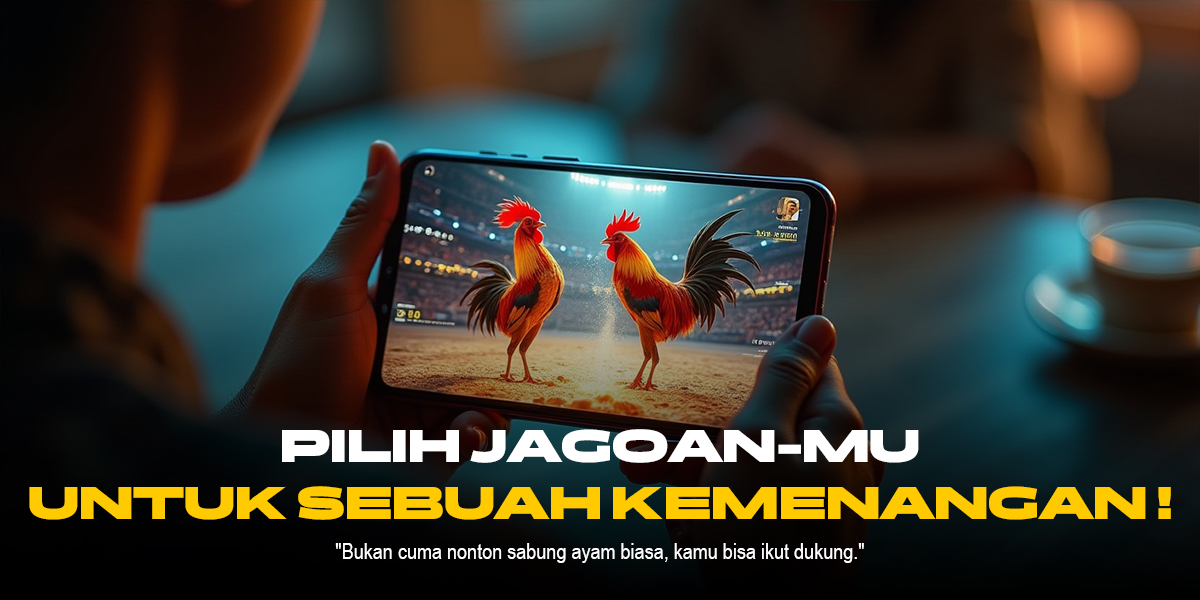 Mengenal Ayam Bangkok dan Odds Sabung Ayam SV388