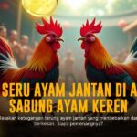Kenali Jenis Ayam Aduan Terbaik di Sabung Ayam Online SV388