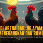 Menjajal Keseruan Sabung Ayam Online dengan Provider SV388