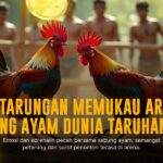 Unik dan Seru: Kiat Menang Sabung Ayam dengan SV388