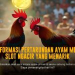 Sabung Ayam SV388: Adu Ayam Andal dengan Peluang Menang Maksimal